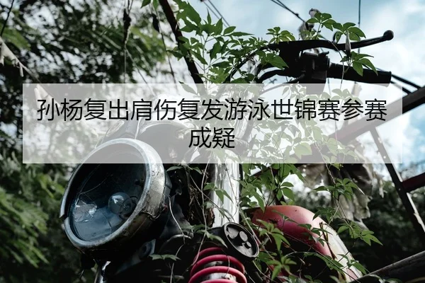 孙杨复出肩伤复发游泳世锦赛参赛成疑