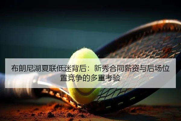 bu-lang-ni-hu-xia-lian-di-mi-bei-hou-xin-xiu-he-tong-xin-zi-yu-hou-chang-wei-zhi-jing-zheng-de-duo-zhong-kao-yan-2-510.jpg