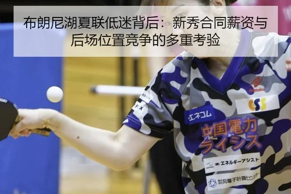 bu-lang-ni-hu-xia-lian-di-mi-bei-hou-xin-xiu-he-tong-xin-zi-yu-hou-chang-wei-zhi-jing-zheng-de-duo-zhong-kao-yan-3-664.jpg